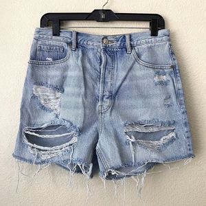 Pacsun Shorts Womens Size 30 90s Girlfriend Ripped Distressed High Rise